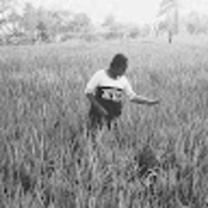 Meet your Posher, Manaswini